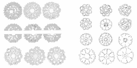 hand drawn shrub and bush illustrations on white background illustration landscape nature botanical plant vegetation sketch drawing © Sudhakar