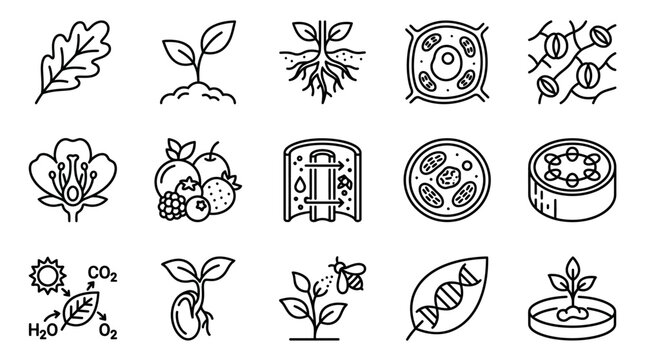 Modern Black and White Line Set of Plant Biology and Agricultural Concepts for Educational or SEO Content