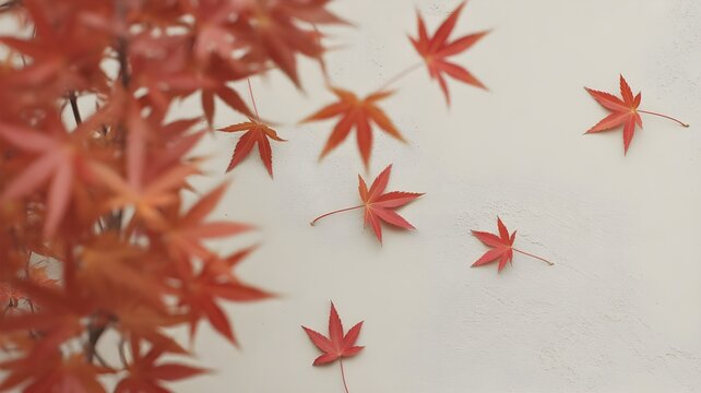 Autumn maple leaves and civic holiday celebrations fall season concept