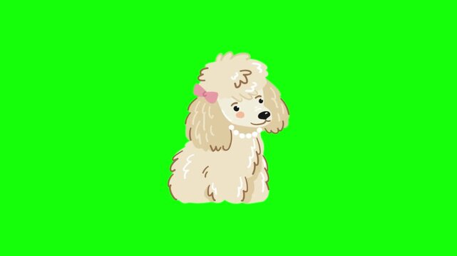 Green screen background for video editing. Chroma key footage for creative projects. Professional video production asset.