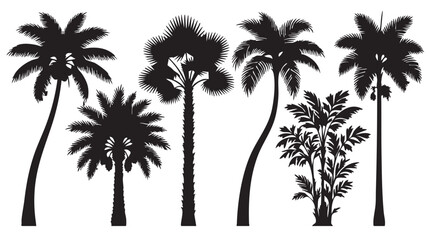 Fototapeta premium Palm Trees and Tropical Plants in Black and White Silhouette Style with Various Shapes and Sizes for Design Use