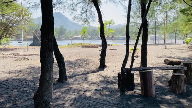 Footage of scenic view of an estuary, tropical beach with green trees, and mountain