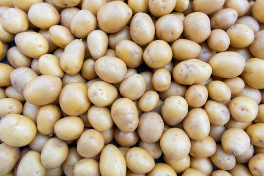 Fresh harvested potatoes full frame background