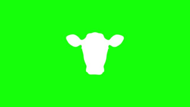 Black cow silhouette on bright green background. Minimalist livestock icon for digital design and video editing. Vector-style animal graphic for co...