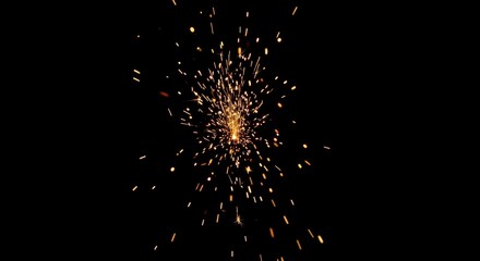 Fototapeta premium Fireworks explode in night sky.