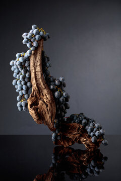 Blue grapes and weathered snag on a black reflective background.