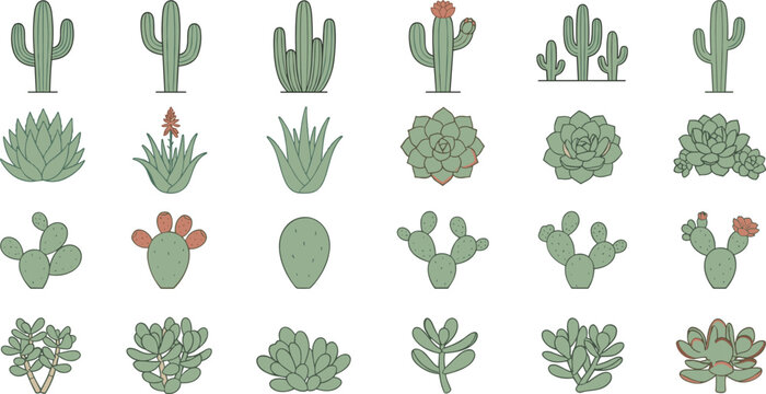 Set of minimalist cactus and succulent vector illustrations in hand drawn line art style for nature branding