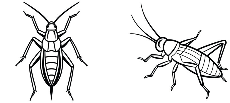 Giant Marsh Ground Cricket Silhouette Icon Set Black Cricket Insect Vector Collection Isolated on White Background