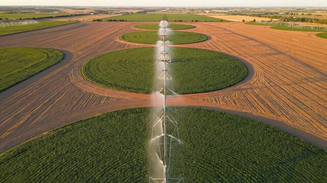 Aerial view of circular green fields being irrigated by a long center pivot system stretching across a vast agricultural landscape at dawn