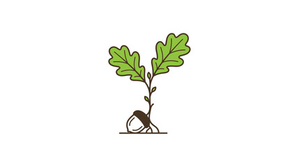 Oak seedling growing from an acorn representing growth and nature © hakimi