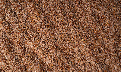 Plantago ovata seeds, Psyllium husk, isabgol dietary fiber or ispaghula © ange1011