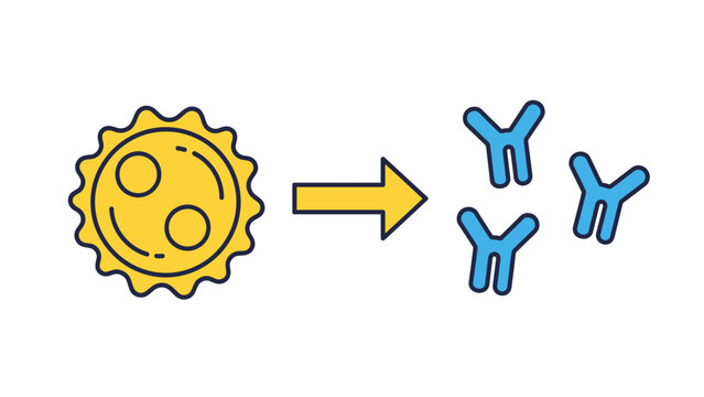 Immune System Response with yellow cell producing blue antibodies on white background, ideal for medical education and healthcare infographics.