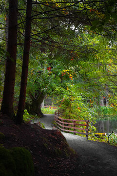Scenic walking path with a wooden fence winding through a lush green forest next to a calm lake.