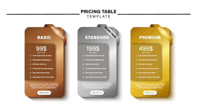 Modern pricing table template with three subscription plans and premium package comparison