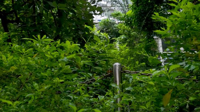 Lush green garden bushes with stainless steel bollard post and chain barrier