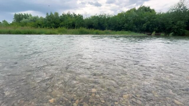 A calm river flows past green grassy banks under a cloudy sky. Dense summer trees grow along the opposite shoreline in daylight. The water surface ripples gently through the scenic landscape.