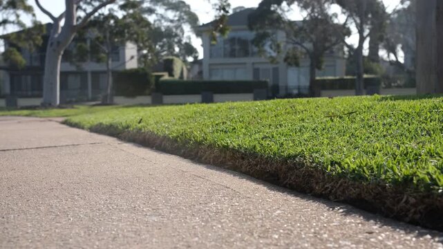 A neatly trimmed grass verge edges a footpath beside upscale homes in a suburban Melbourne street. A well-maintained nature strip and residential environment in Australia.