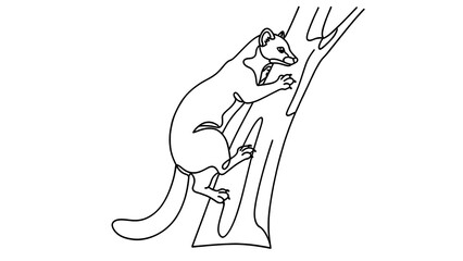 Obraz premium Kangaroo climbing tree illustration white background.