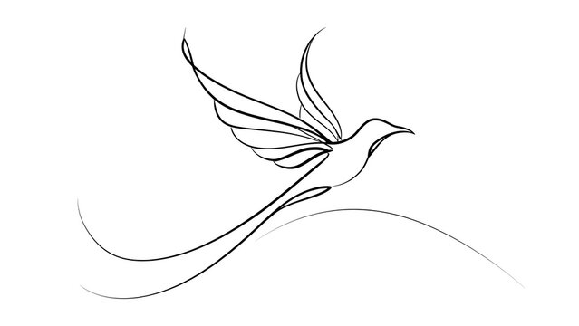 Elegant hummingbird line art white background.