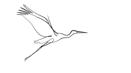Obraz premium Flying crane bird illustration white background.