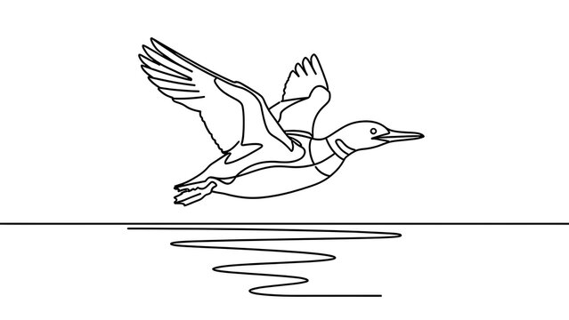 Flying duck illustration on white background.