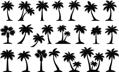 Naklejka premium Palm tree silhouette collection showing tropical shapes with varied trunks and leaf arrangements on white background