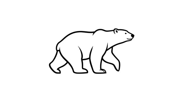 Minimalist polar bear illustration white background.