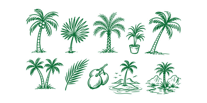 palm tree collection and hand drawn tropical coconut tree leaf island mountain plant doodle icon set vector illustration