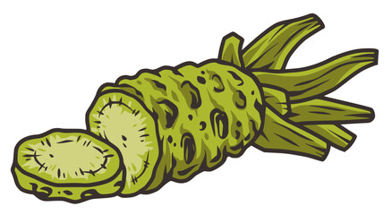Naklejka premium Green wasabi root natural japanese food vegetable ingredient
