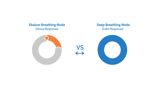 Breathing Mode Comparison infographic showing stress vs calm responses with circular diagrams, ideal for health blogs and wellness presentations.