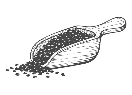 Wooden scoop filled with dark seeds, some spilling out onto a surface
