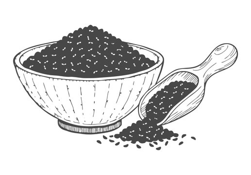 Hand Drawn Bowl And Scoop Filled With Grains Or Seeds In Sketch Style