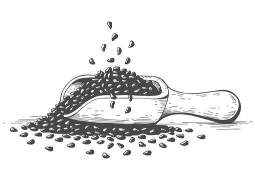 Wooden scoop filled with dark seeds, some spilling out onto a surface
