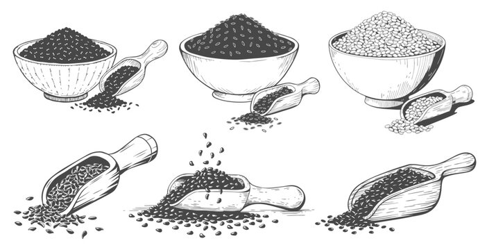 Collection of Hand Drawn Illustrations of Various Grains and Seeds in Bowls and Scoops
