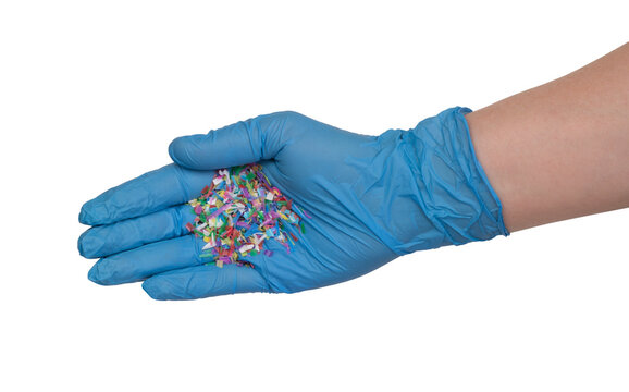 Person holding a sample of microplastic in a gloved hand isolated on white or transparent background