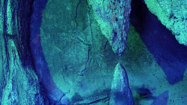 Bats colony flying inside a dark cave