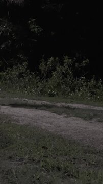 Close-up of Person Walking at Night