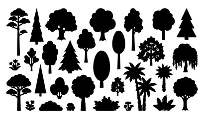 Cartoon Forest Tree Collection with Pine Oak Deciduous and Evergreen Plants Vector Illustration © MSTSHABANA