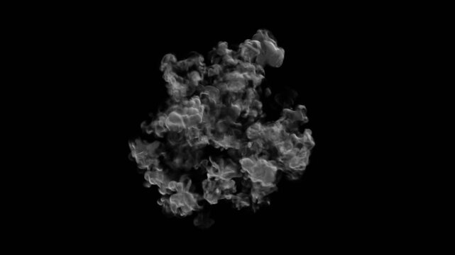 great for , atom bomb animations projects, destruction of objects in a movie or tv show. the atom bomb detonation and explosion happens from two different view. its a nuclear explosion or nuke tnt fro