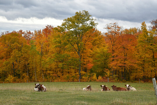 A farm in the fall, Qu&eacute;bec, Canada