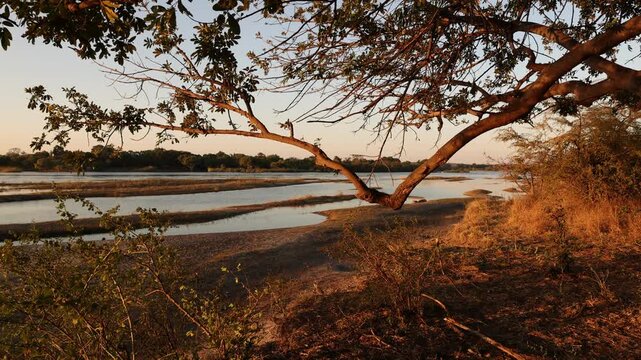 sunset over the mighty Zambezi River, Zimbabwe, Africa