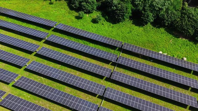 Drone view of solar panels surrounded by trees and grassland