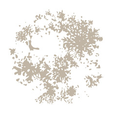 Fototapeta premium Abstract organic shape