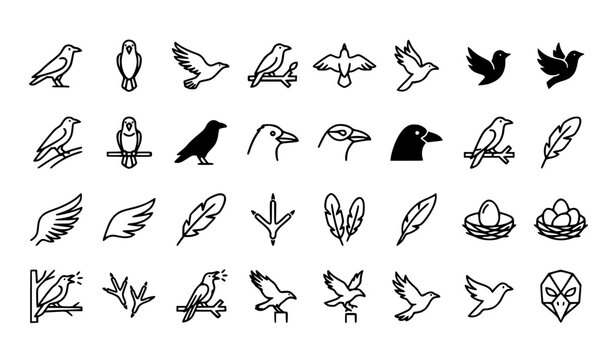 Modern Simple Crow Bird Linear Editable Stroke Icon Pack for Nature and Wildlife Design