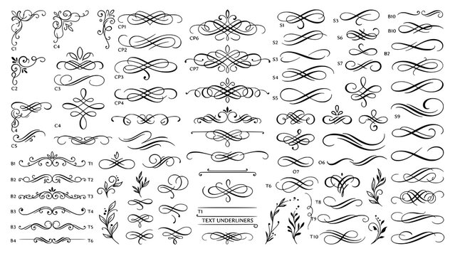Set of elegant vintage calligraphic decorative swirls and dividers with flourish