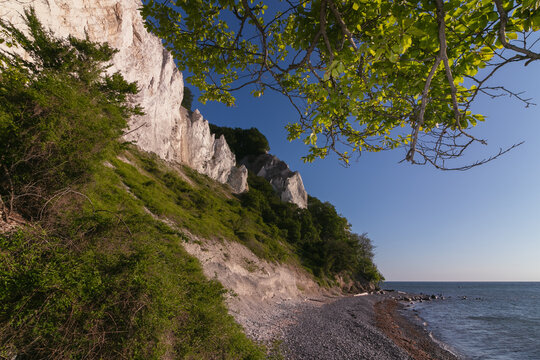 Chalk cliffs of Moens Klint Denmark in summer