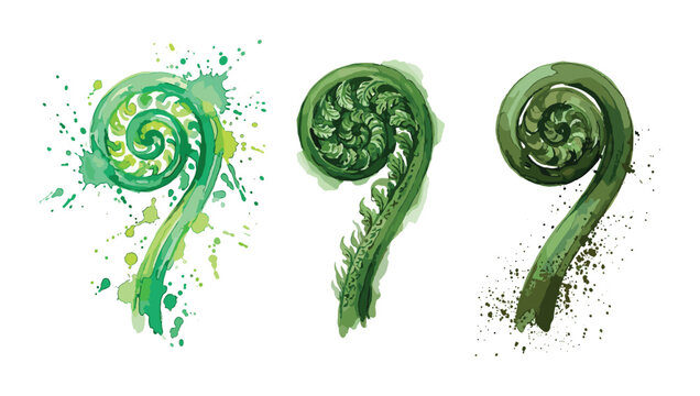 Artistic watercolor illustrations of unfurling green fern fiddleheads.