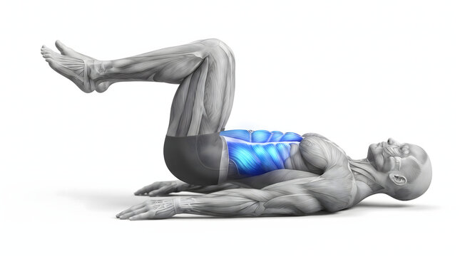 Anatomical 3D illustration of a man performing abdominal crunch exercise showing the active rectus abdominis and core muscles highlighted in blue