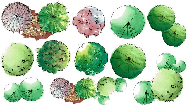 Hand drawn watercolor tree symbols set for garden and landscape design