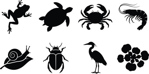 Marine and Wildlife Silhouette Icon Set Featuring Frog Turtle Crab Shrimp Snail Beetle Heron and Flower Vector Collection © Rezoara